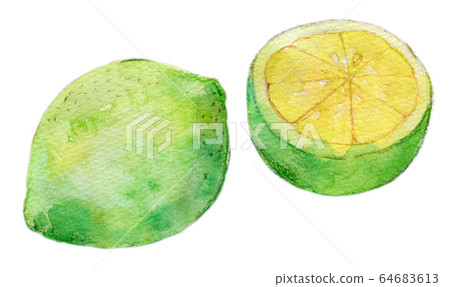 Watercolor illustration food food tropical fruit green lemon 64683613