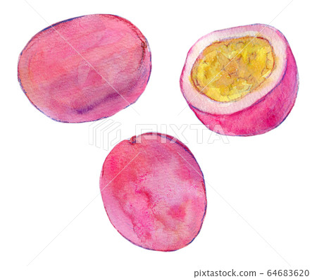 Watercolor illustration food food tropical fruit passion fruit Watercolor illustration food food tropical fruit passion fruit 64683620
