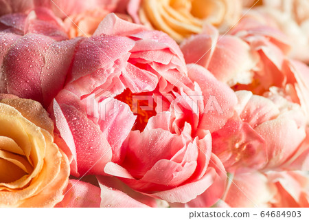 Fresh bunch of pink peonies and roses 64684903