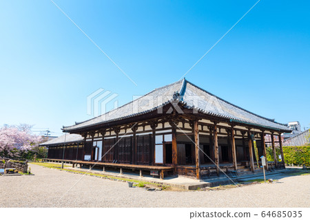 Genkoji Temple Precinct Scenery Gorakudo Main Hall Zen Room Spring (Nara City, Nara Prefecture) 64685035