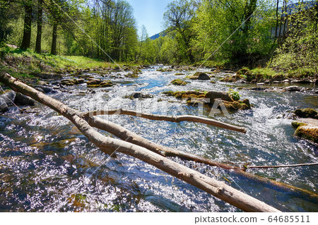 Ostravice river spring 64685511
