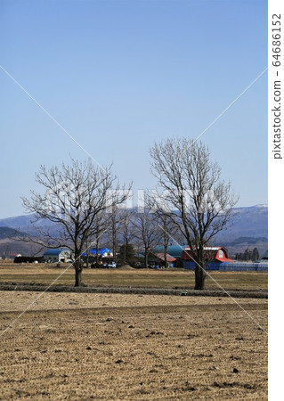 Fields and trees before plowing, Hokkaido in spring 64686152