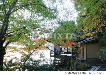 Wolong Mountain Villa in autumn colors 64687420