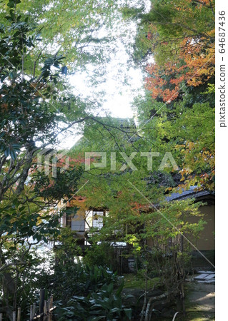 臥龍山莊在秋天的顏色 臥龍山莊在秋天的顏色 64687436