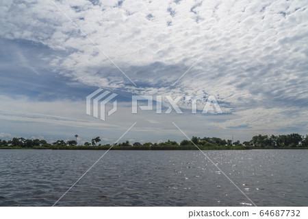 奧卡萬戈三角洲，博茨瓦納，非洲 64687732