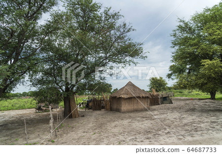 奧卡萬戈三角洲,博茨瓦納,非洲 奧卡萬戈三角洲,博茨瓦納,非洲 64687733