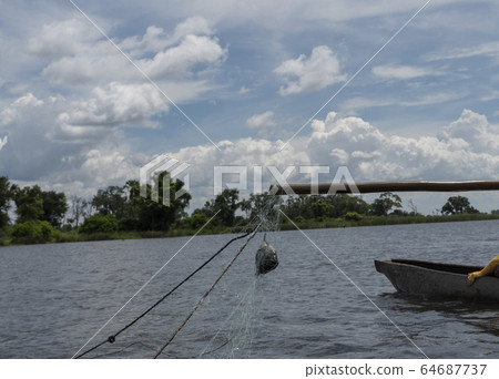 奧卡萬戈三角洲,博茨瓦納,非洲 奧卡萬戈三角洲,博茨瓦納,非洲 64687737