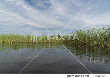 奧卡萬戈三角洲，博茨瓦納，非洲 64687816