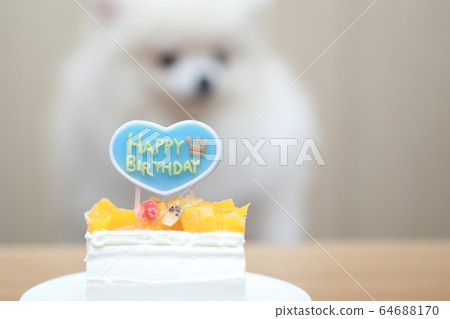 pomeranian birthday cake
