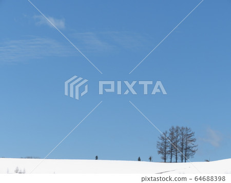 Arashi Tree Hokkaido 64688398