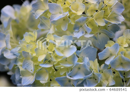 pastel colour  64689541