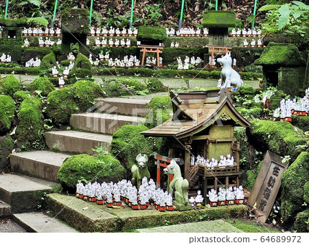 鎌倉/佐助稻荷神社 64689972