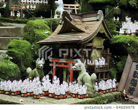 Kamakura / Sasuke Inari shrine Kamakura / Sasuke Inari shrine 64689976