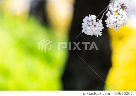 Draw spring Draw spring 64690205