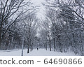 Winter snow 64690866