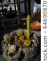 Cactus 64690870