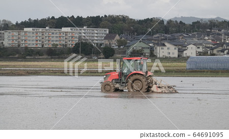 Tractor to maintain flooded rice field before rice planting 64691095