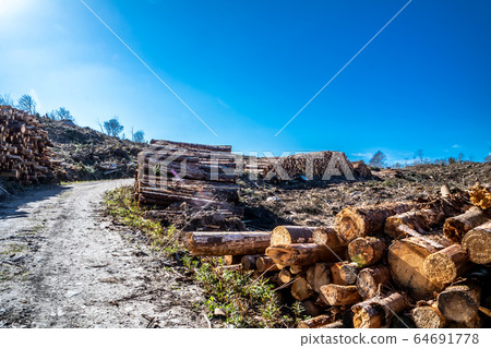 Timber stacks at Bonny Glen in County Donegal - Ireland Timber stacks at Bonny Glen in County Donegal - Ireland 64691778