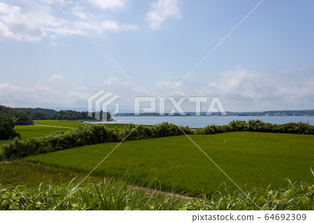 野島島鄉村景觀 64692309