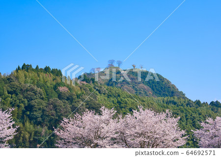 <島根縣>月山富田城跡和櫻花 <島根縣>月山富田城跡和櫻花 64692571