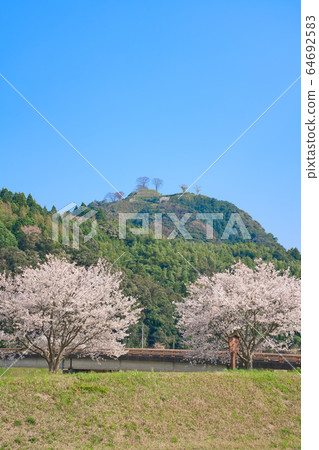 <島根縣>月山富田城跡和櫻花 <島根縣>月山富田城跡和櫻花 64692583