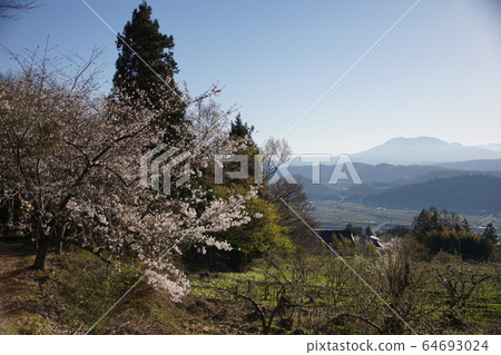 Nakano-shi, spring of Yagonji Temple 64693024
