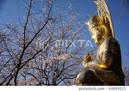 Nakano-shi, spring of Yagonji Temple 64693025