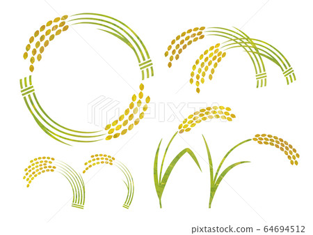 Various colors of rice 64694512