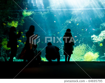 Family silhouette looking at a large aquarium in the sea of a coral reef Photographing permission and cooperation: Aquamarine Fukushima Family silhouette looking at a large aquarium in the sea of a coral reef Photographing permission and cooperation: Aquamarine Fukushima 64695795
