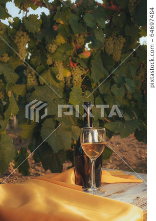 One glass and bottle of the white wine in autumn 64697484