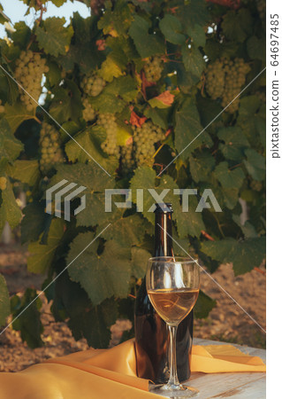 One glass and bottle of the white wine in autumn 64697485