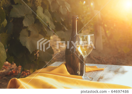 One glass and bottle of the white wine in autumn 64697486