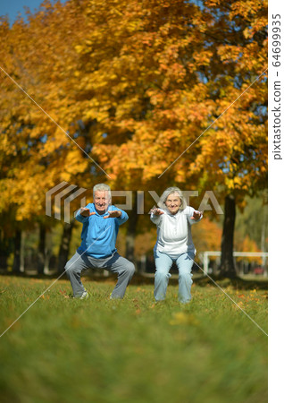 Portrait of fit senior couple exercising in park 64699935
