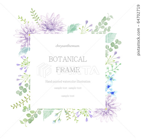 Chrysanthemum and plant frame Chrysanthemum and plant frame 64702719