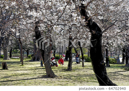 鶴舞公園的風景 插圖素材 圖庫