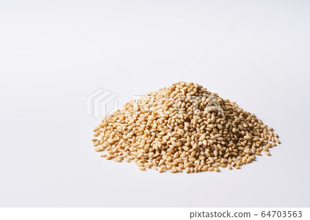 將芝麻裝在富士山上 64703563