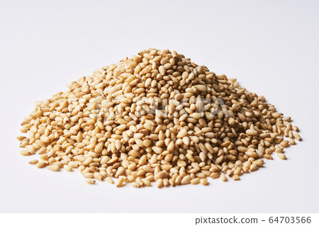 將芝麻裝在富士山上 64703566