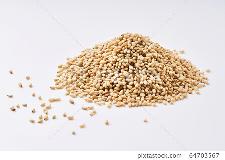 將芝麻裝在富士山上 64703567