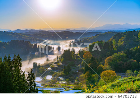 Terraced rice fields in Hoshitoge in early summer Morning scenery Unkai [Niigata Prefecture] 64703718