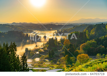 Terraced rice fields in Hoshitoge in early summer Morning scenery Unkai [Niigata Prefecture] 64703719