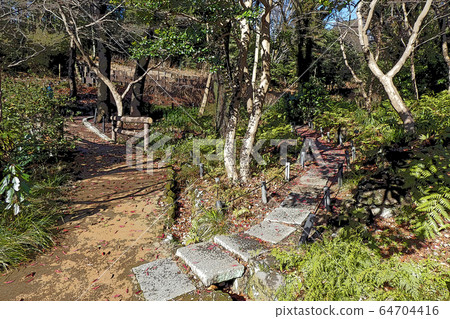 Higashiyama Zoo and Botanical Garden 64704416
