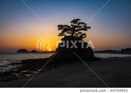 Glow, Pine, Biin Beach, Seocheon-gun, Chungnam, Korea 64704942