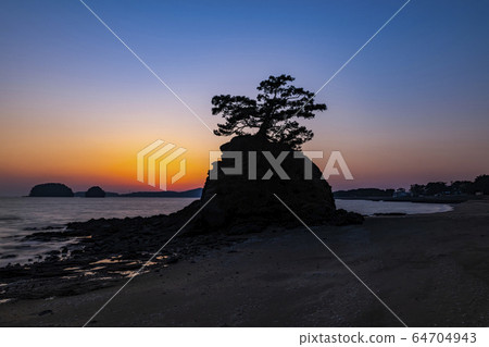 Glow, Pine, Biin Beach, Seocheon-gun, Chungnam, Korea 64704943
