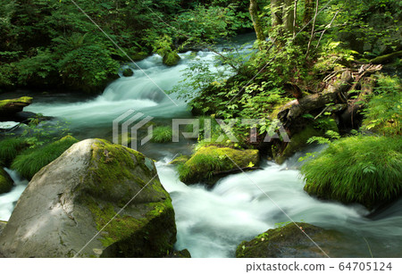Oirase stream of fresh green 64705124