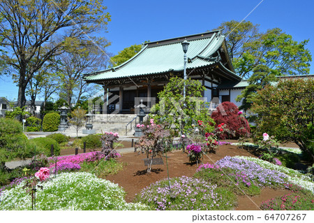 足立區本木市的富江山吉祥寺 64707267