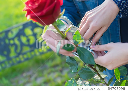 the girl uses a key to free the guy's hands from the handcuffs the girl uses a key to free the guy's hands from the handcuffs 64708096