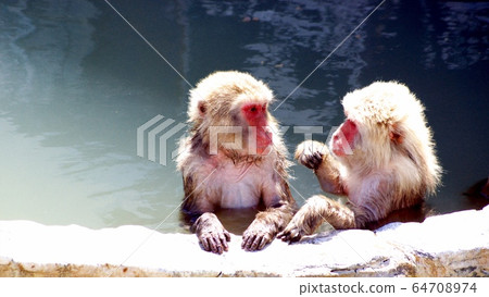 I love the open-air bath 64708974