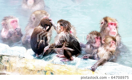 I love the open-air bath 64708975