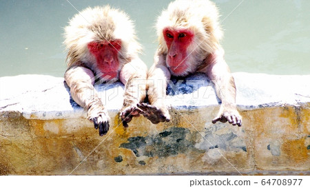 I love the open-air bath 64708977