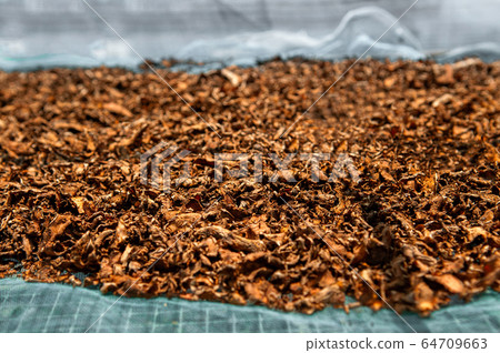 Sun dried Turmeric rhizome fresh Tumeric roots 64709663